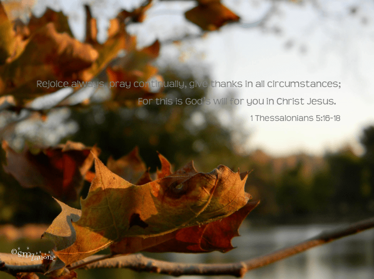 Thanksgiving [every] Day