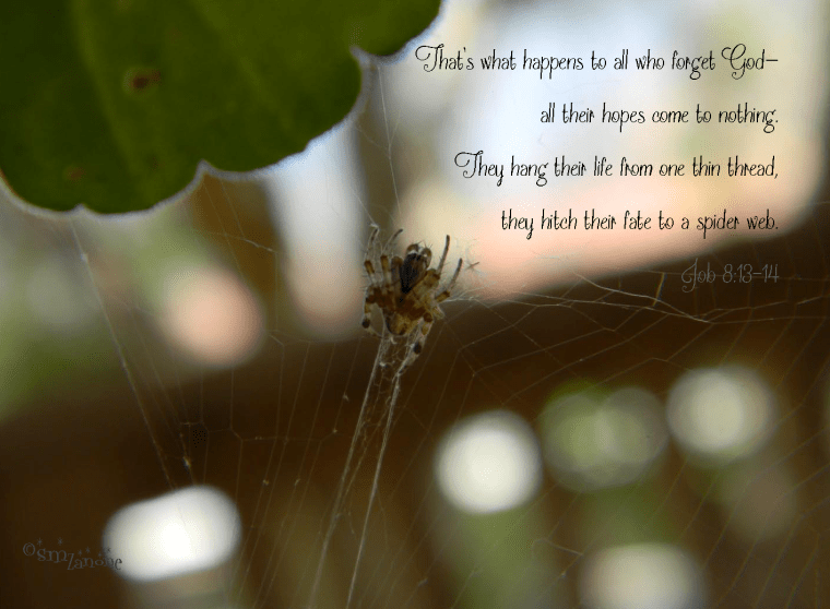 Oh, what tangled web we weave...