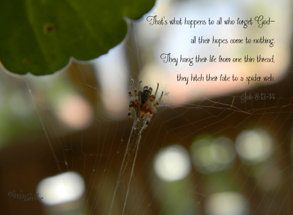 Oh, what tangled web we weave...