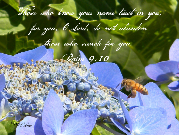 Seek and you shall find