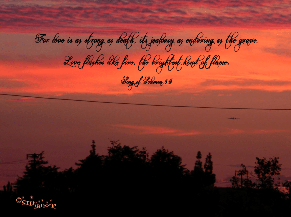 They gave their best...