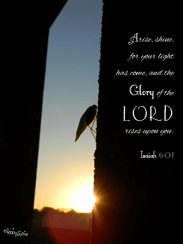 The warmth of His Grace