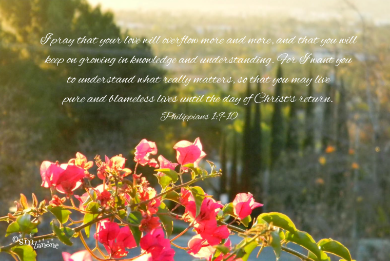 When love abounds...