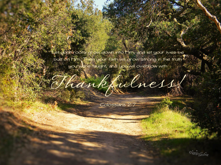 Draw from the Source