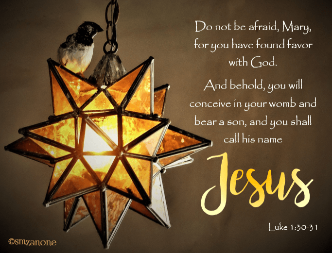 _Luke 1_30-31